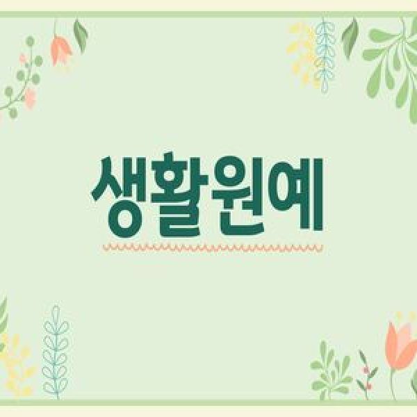 1. 식물의 기초